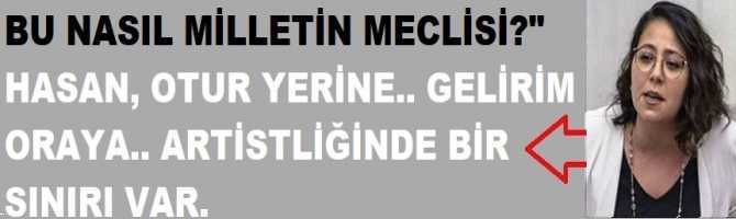 BU NASIL MİLLETİN MECLİSİ? KADIN MİLLETVEKİLİ : 