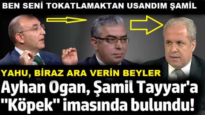 CUMHURBAŞKANI DANIŞMANI AYHAN OGAN'dan, ŞAMİL TAYYAR'a : 