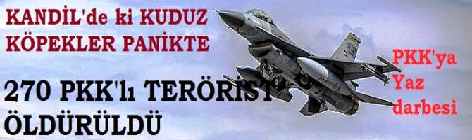 KANDİL'de ki KUDUZ KÖPEKLERE YAZ DARBESİ.. 270 PKK'lı ÖLDÜRÜLDÜ..