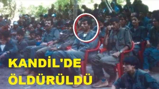 PKK'nın sözde Basın sözcüsü, MİT operasyonu ile Kandil'de öldürüldü ama örgüt ölümü diğer teröristlerden gizledi