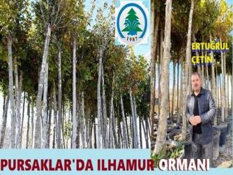 MANSUR YAVAŞ, ANKARA’DA VAR OLAN YEŞİLLERİ KURUTTU, ERTUĞRUL ÇETİN; PURSAKLAR’da ORMANLAR OLUŞTURDU.