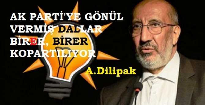 Sorun AKP'de değil, gösterdiği adaylarda idi.. Polat Alemdar rolüne bürünmüş, 